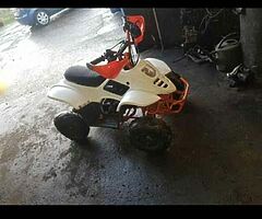 2015 Quad 110