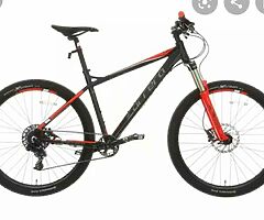 20inch fury for sale