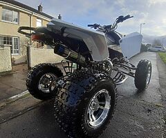 2019 Mad max 250cc - Image 6/10