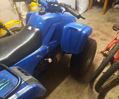 Dinli 125cc farm quad - Image 6/8