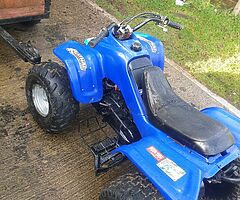 100cc quad 2 stroke