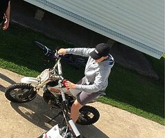 125 pit bike - Image 3/3