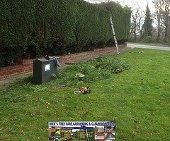 Tree care & gardening