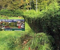 Tree care & gardening