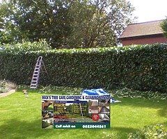 Tree care & gardening - Image 4/7