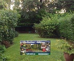 Tree care & gardening - Image 6/7