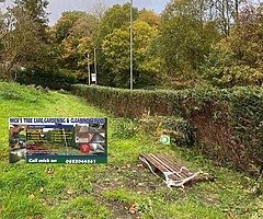 Tree care & gardening - Image 7/7