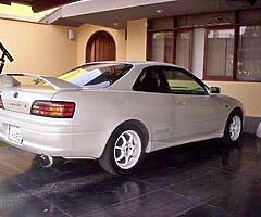 LEVIN BZR WANTED