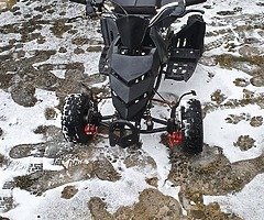 49cc quad - Image 4/4