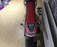 160cc pitbike - Image 3/4