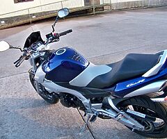 2008 Suzuki GS - Image 4/10