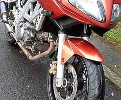 2004 Suzuki SV650 - Image 6/8