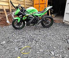2019 Kawasaki Ninja
