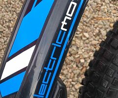 2019 Electric Motion Sport