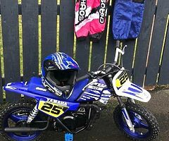 2018 Yamaha PW