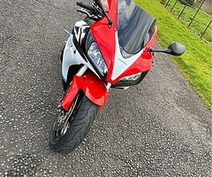 2008 Honda CBR - Image 9/10