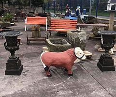 ZEBRA SALVEAGE OPEN EASTER WEEKEND hope we can be part of your break  - Image 4/10