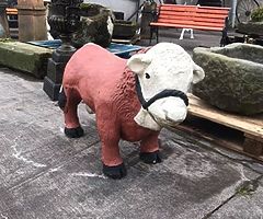 ZEBRA SALVEAGE OPEN EASTER WEEKEND hope we can be part of your break  - Image 5/10