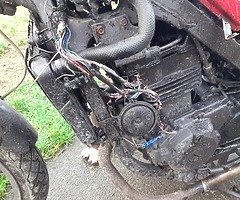 500 cc - Image 4/7