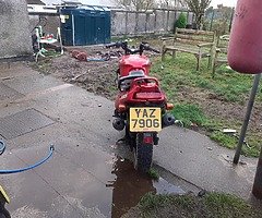 500 cc - Image 6/7