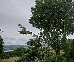  - Image 8/8