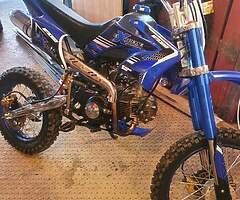 125cc extreme pitbike and 6.5hp buggy