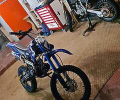 125cc extreme pitbike and 6.5hp buggy - Image 7/10