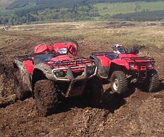 ‼️Farm quads wanted