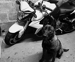 Honda cb1000r