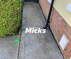 Job today - Image 5/6