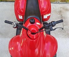 quad and go cart - Image 6/10