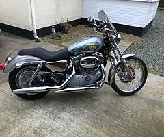 Harley davidson 883 - Image 4/6