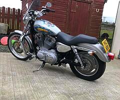 Harley davidson 883 - Image 6/6