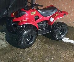 2013 Hornet  100