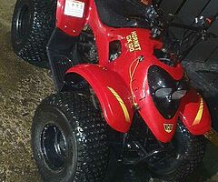 2013 Hornet  100