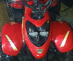 2013 Hornet  100