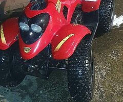 2013 Hornet  100 - Image 5/5