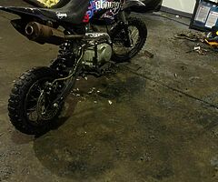 2005 Pitbike Pitbike