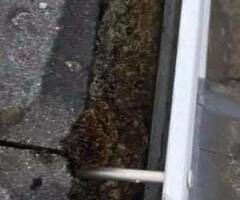 Gutter cleaning - Image 3/8
