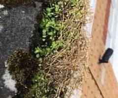 Gutter cleaning - Image 8/8