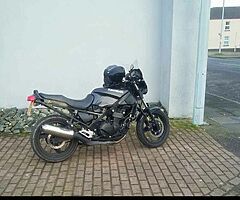 1994 Kawasaki Ninja