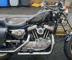 1998 Harley-Davidson Sportster 1200 - Image 4/4