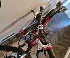 Bike for sale - Image 4/4