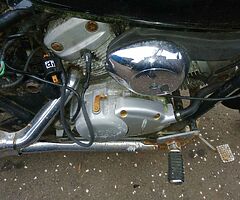 1999 Honda Shadow