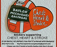 Brian Steenson Replica Lapel Badges for Sale, Supporting Chest,Heart & Stroke Charity