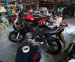 2012 Yamaha YBR - Image 7/8