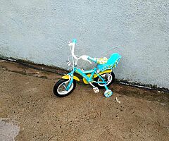Apollo girls bike