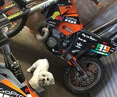 Mint KTM 250 SX 04 - Image 5/9