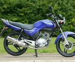 2010 Yamaha YBR