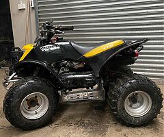 2010 E-TON Viper